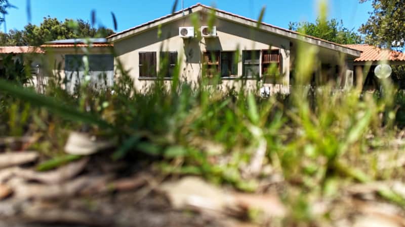 Ferienhaus Green & Beach