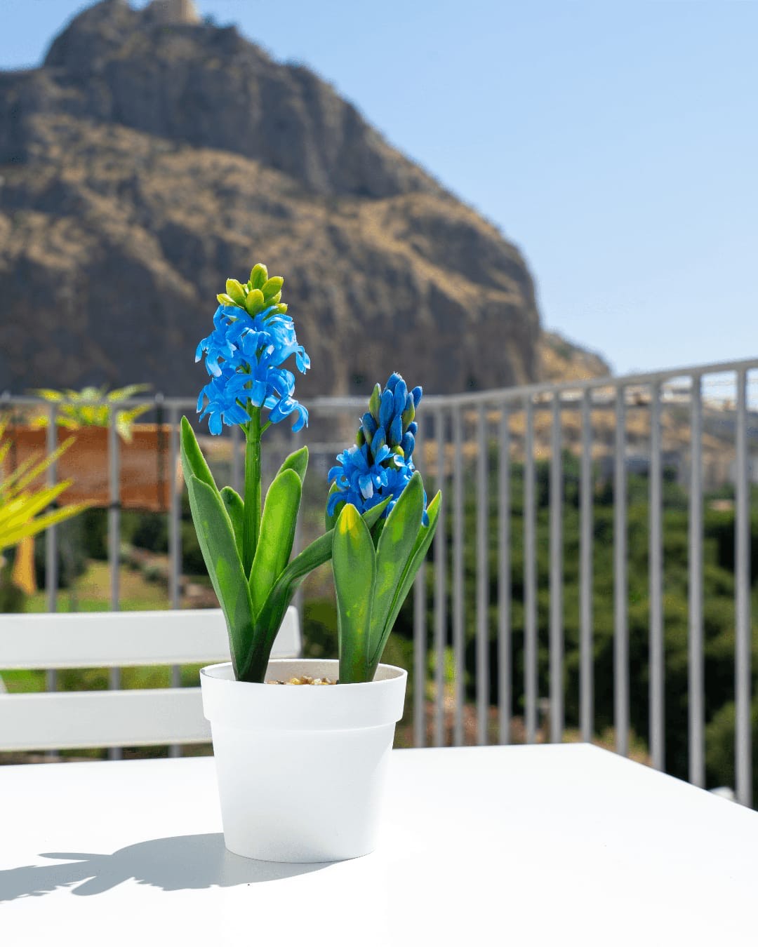 Airoldi Home in Palermo